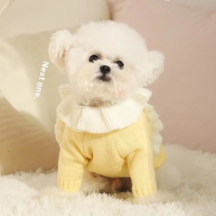 Acrylic dog sweater for small breeds in yellow XINGX or fairy dress design with size chart