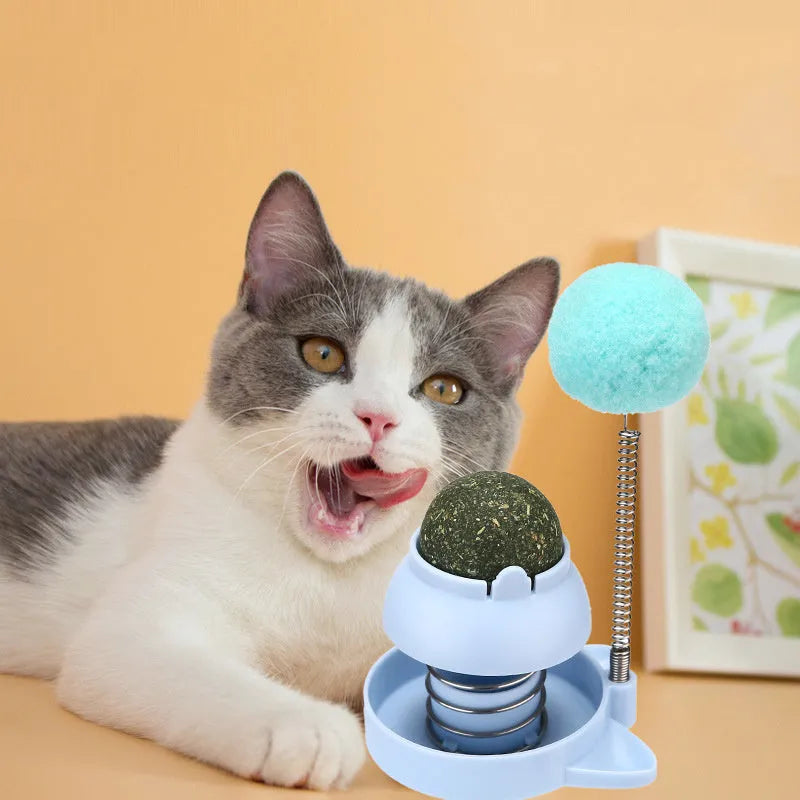 Blue, orange, and pink mint-flavoured cat toy ball with textured surface, 55mm in diameter.