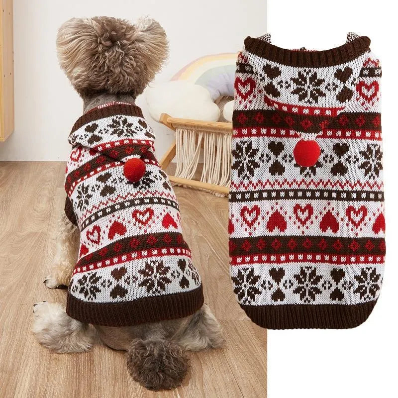 Pink striped camouflage knitted sweater on a small white Bichon Frise dog