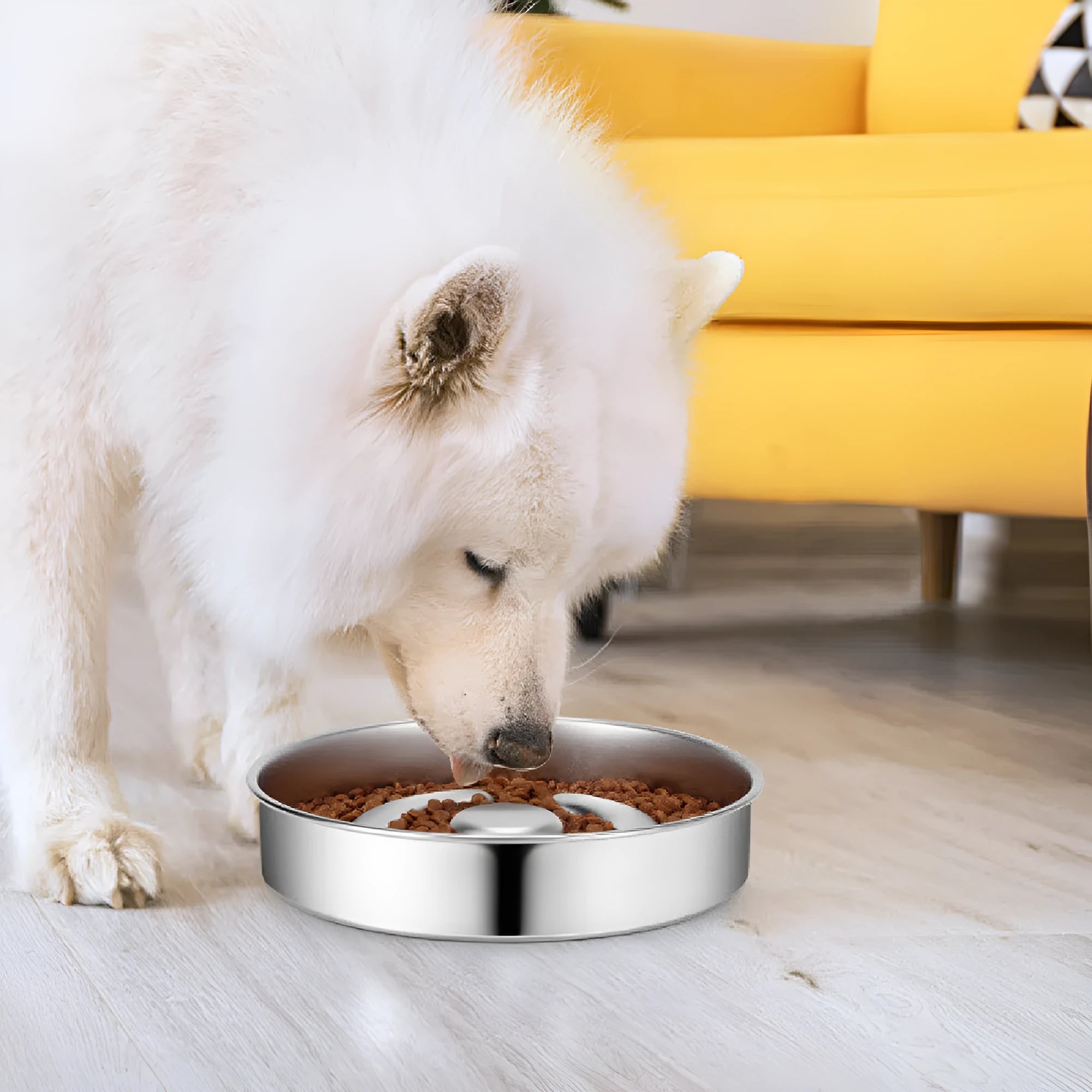 Stainless steel slow feeding bowl with neck protector for dogs and cats in cowhide box