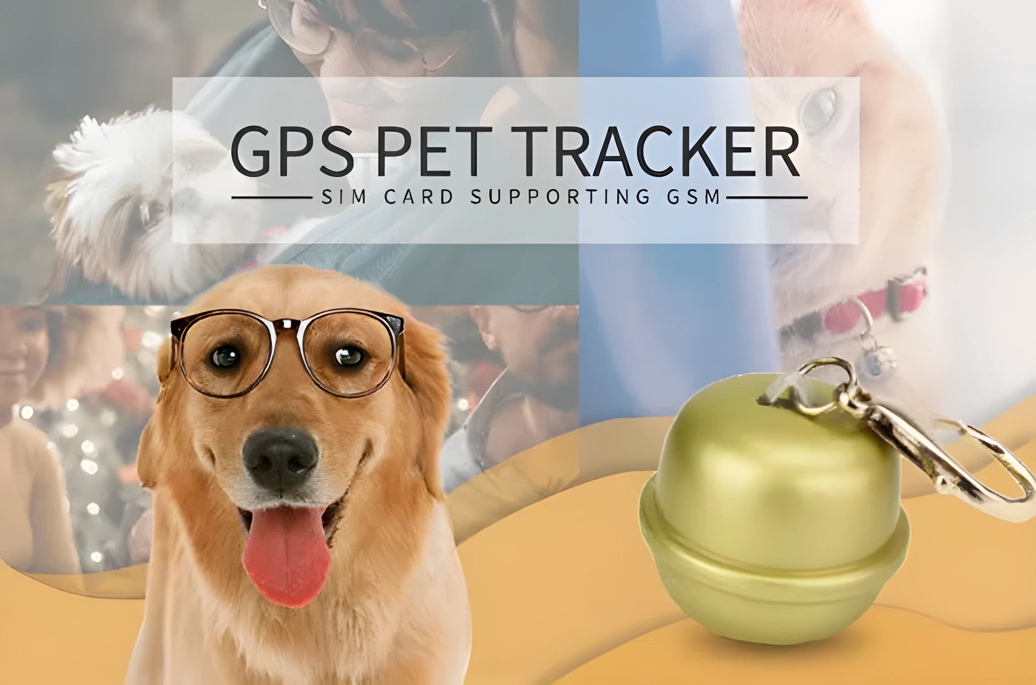 A black GPS tracking unit attached to an adjustable dog collar, showing a status light.
