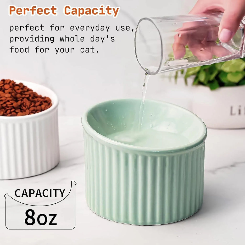 Ceramic elevated cat bowl in green colour with tilted design for anti-vomit feeding