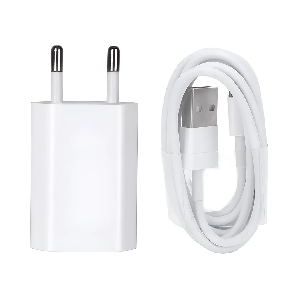White USB travel charger and cable for charging iPhone and iPad models