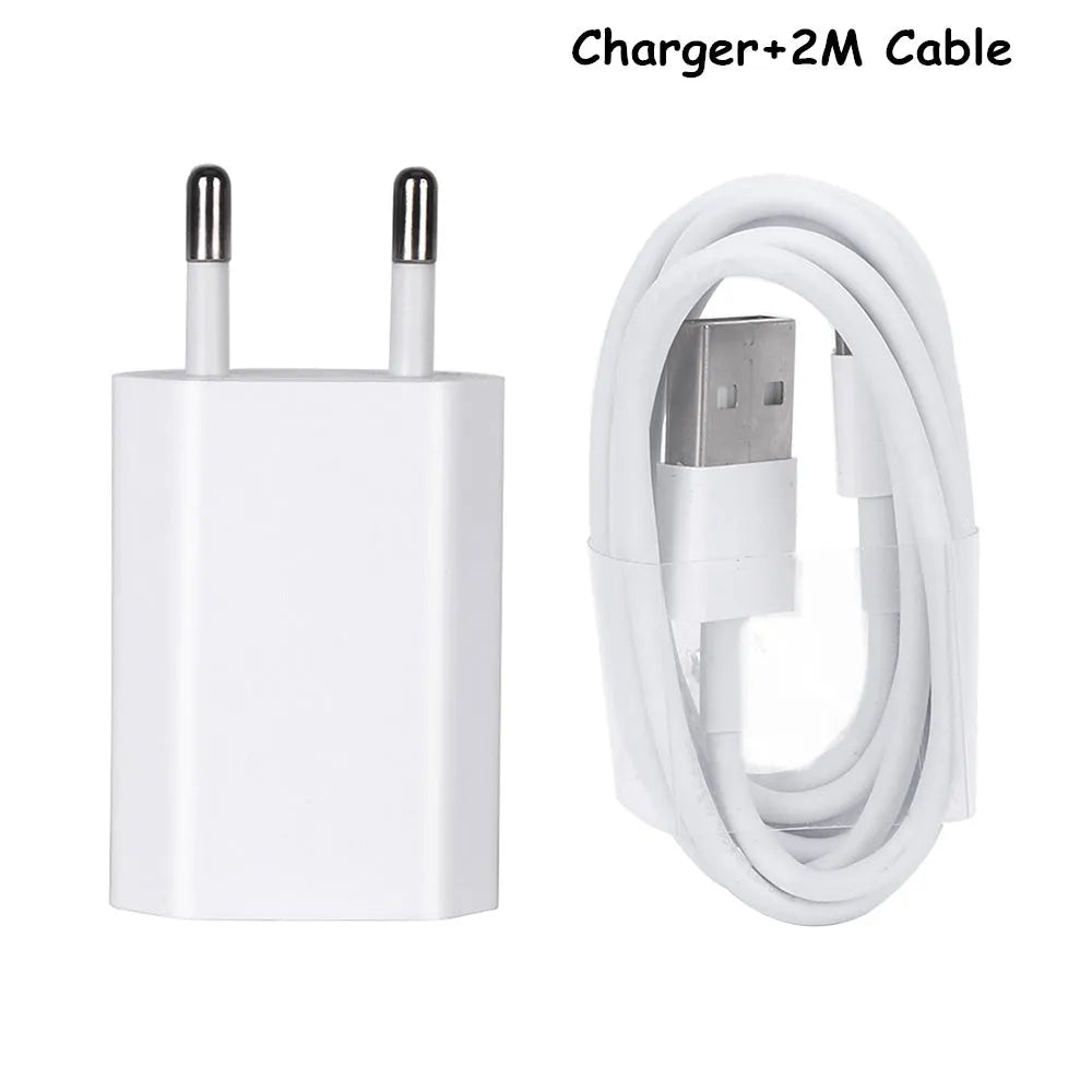 White USB travel charger and cable for charging iPhone and iPad models