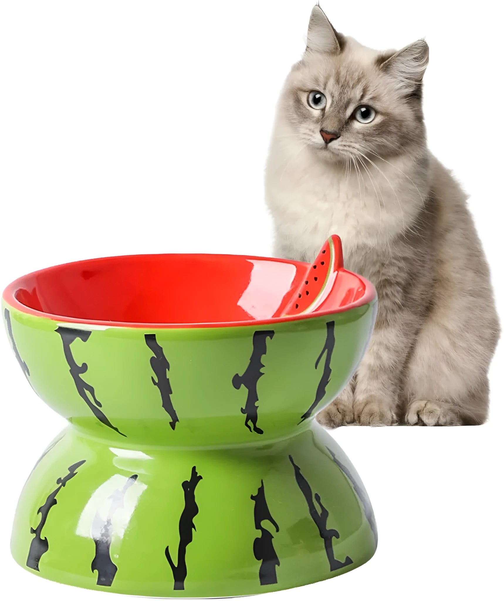 Ceramic raised cat bowl with tilted design in orange pattern, showing elevated feeding position