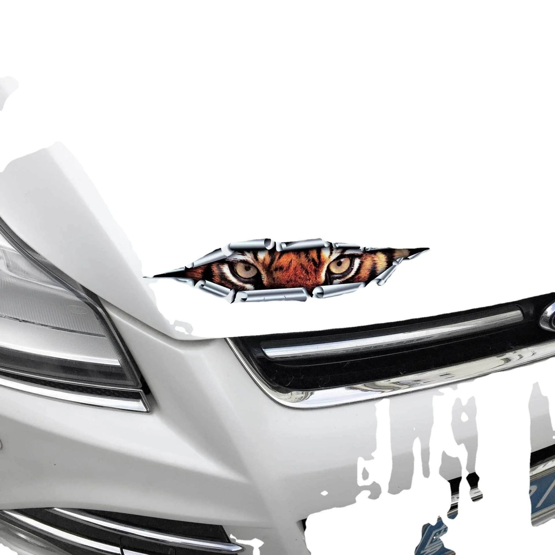 3D car door decoration sticker with Tiger Eye or Eagle Eye pattern on vehicle bumper