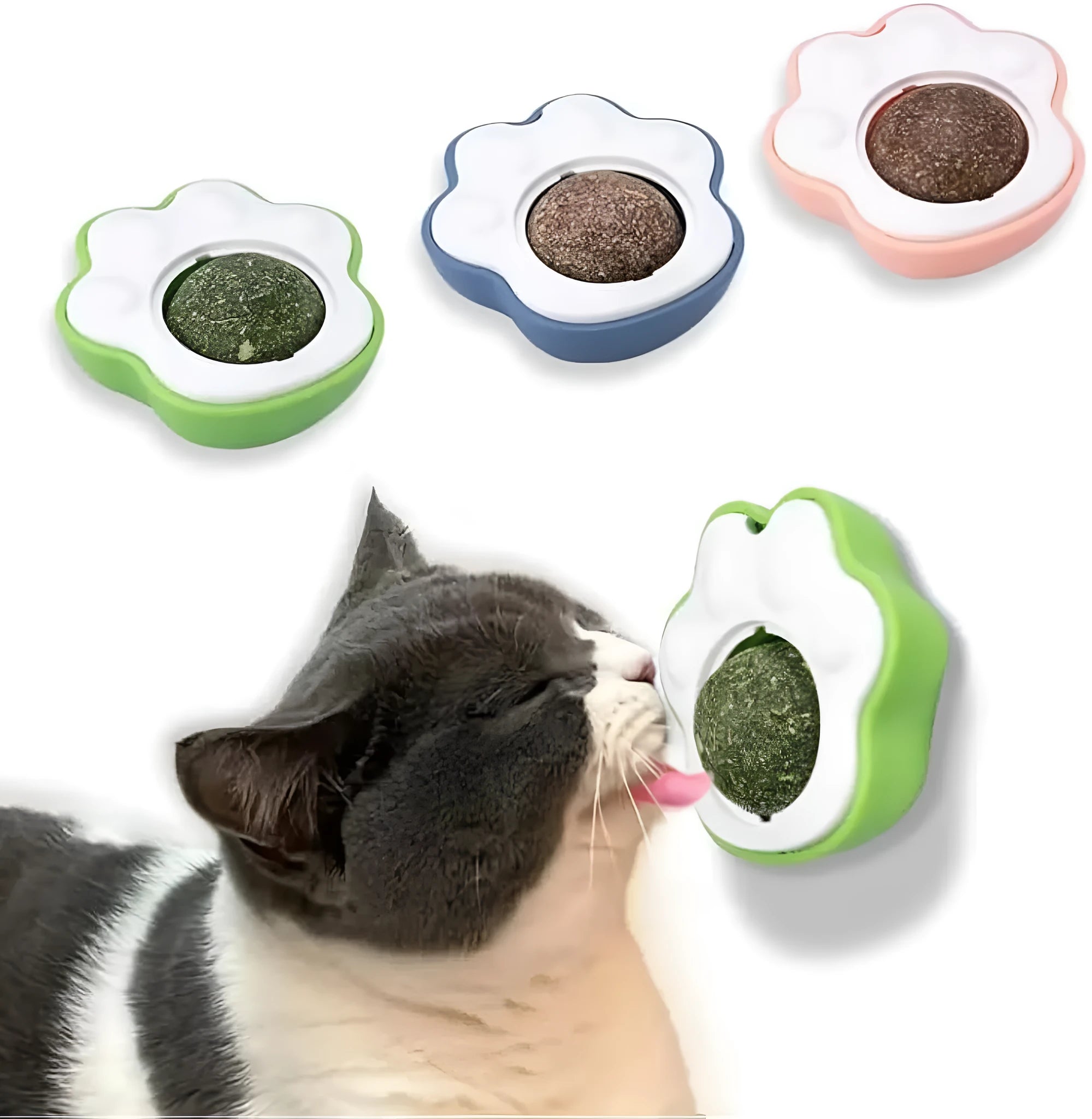 Four coloured catnip balls with edible vine coating for dental health chew toys