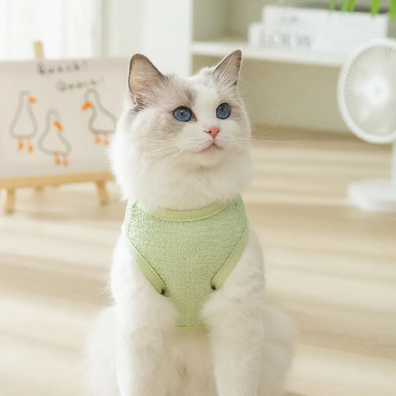 Hollowed-out cat clothes with bear patch in blue, green, yellow colours showing knitted fabric texture