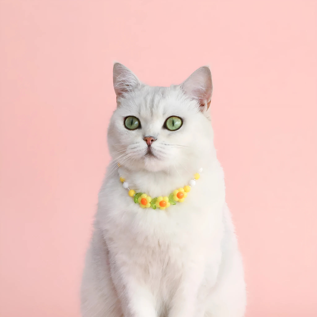 Colourful plastic bead cat necklace in rainbow, peach, or small flower pattern on a white background.