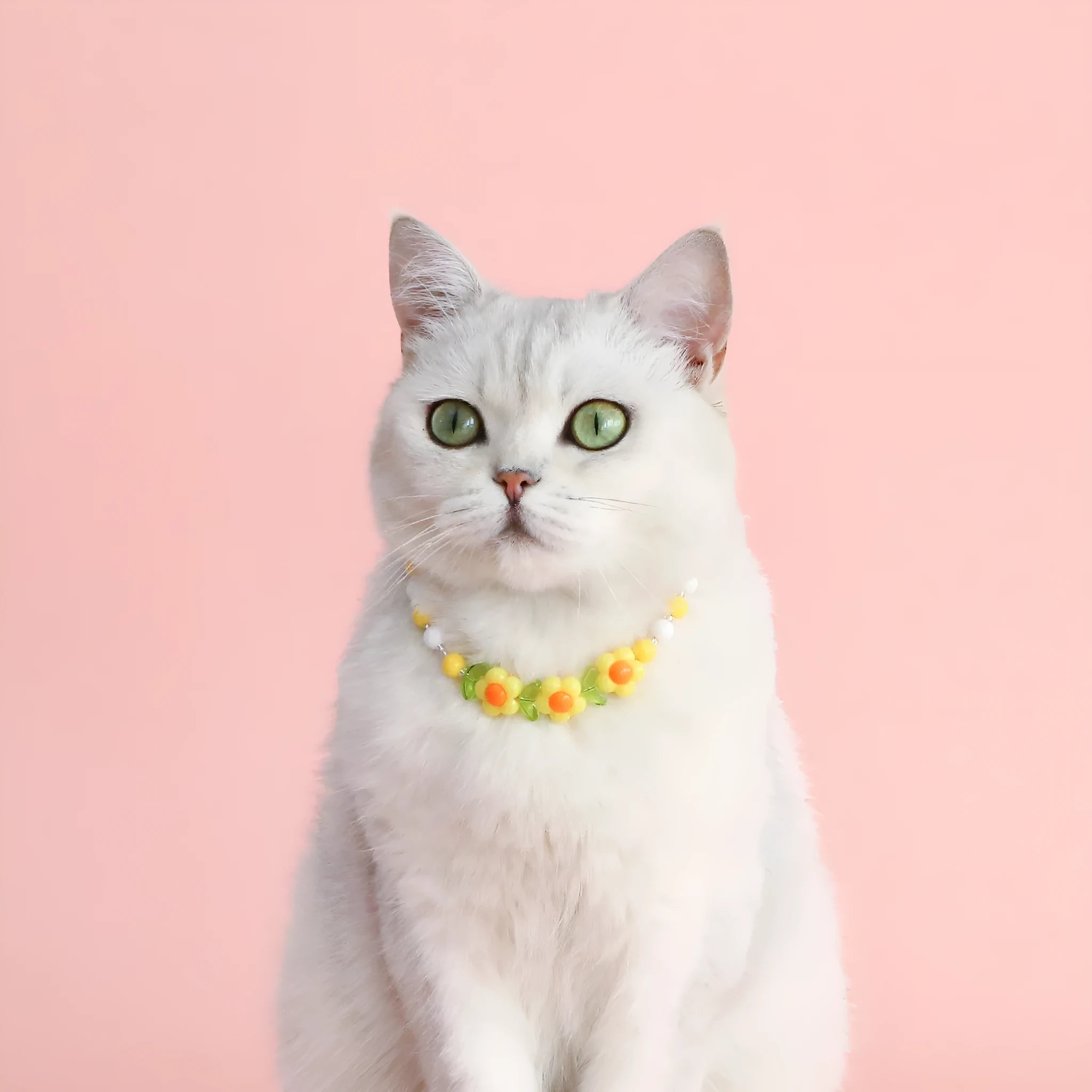 Colourful plastic bead cat necklace in rainbow, peach, or small flower pattern on a white background.