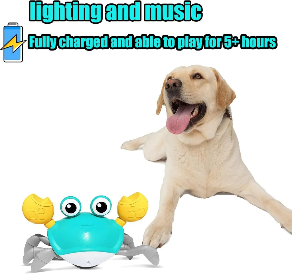 Red or blue ABS plastic crawling crab dog toy with lights, shown on a floor.