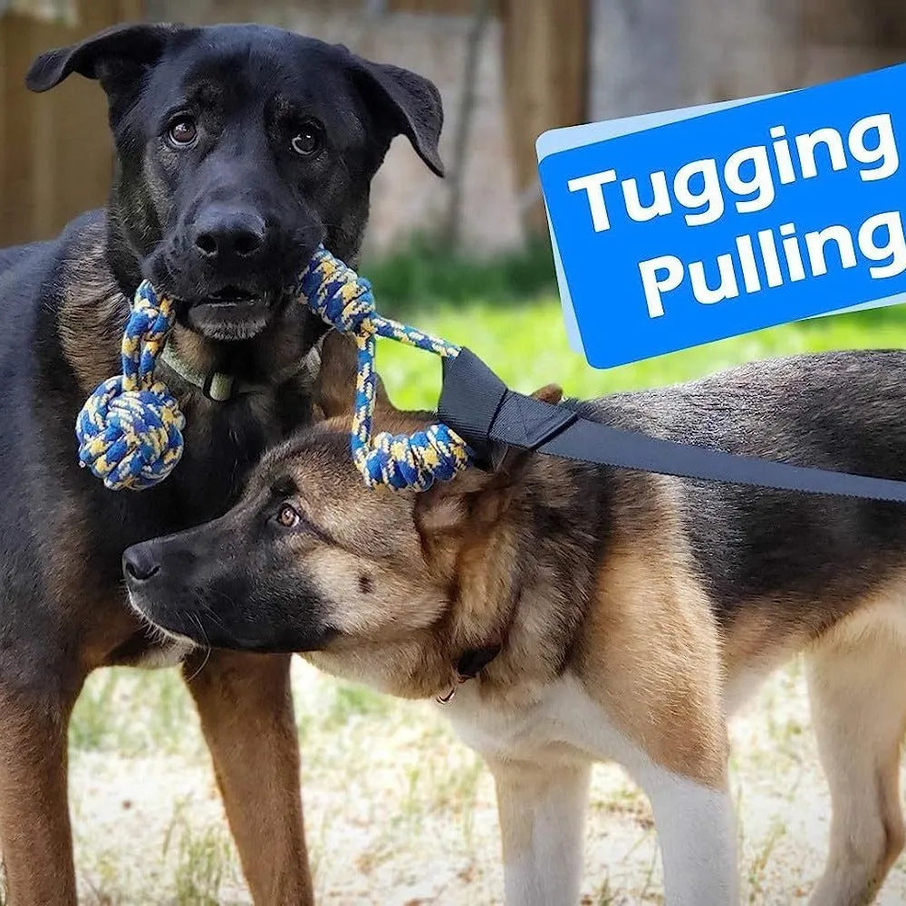 Green cotton rope dog tug toy with corncob design for bite and pull play