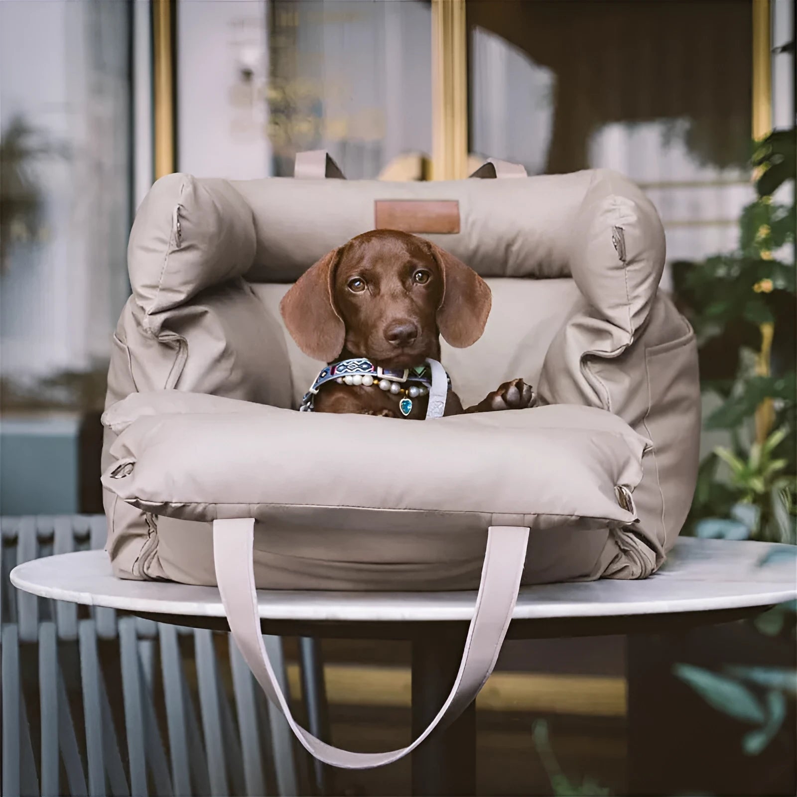 Green waterproof dog car nest with removable cover, shown on a car seat, dimensions 55cm by 50cm.
