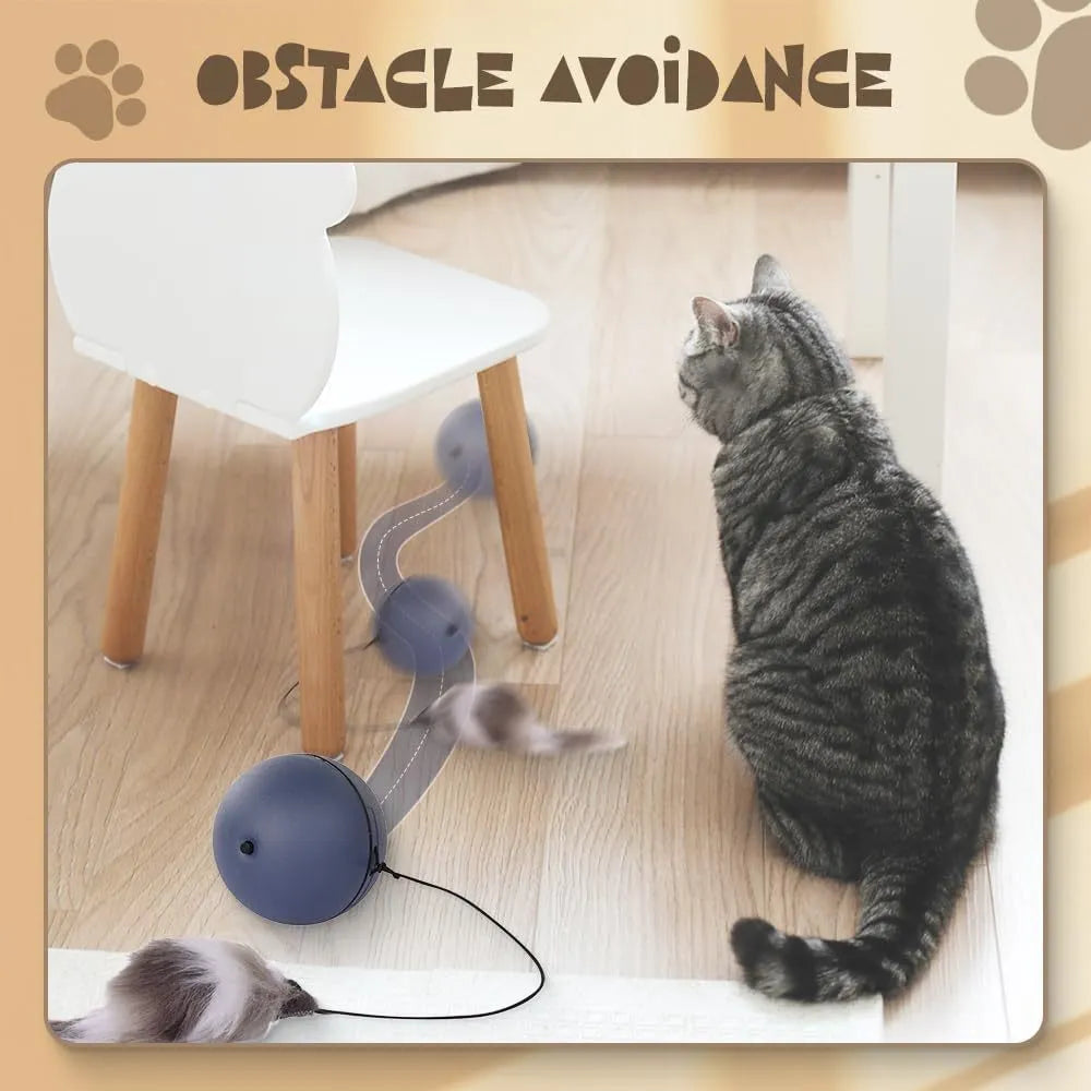 Interactive self-rolling cat ball toy in Blue Orange and Gray colours on a white background