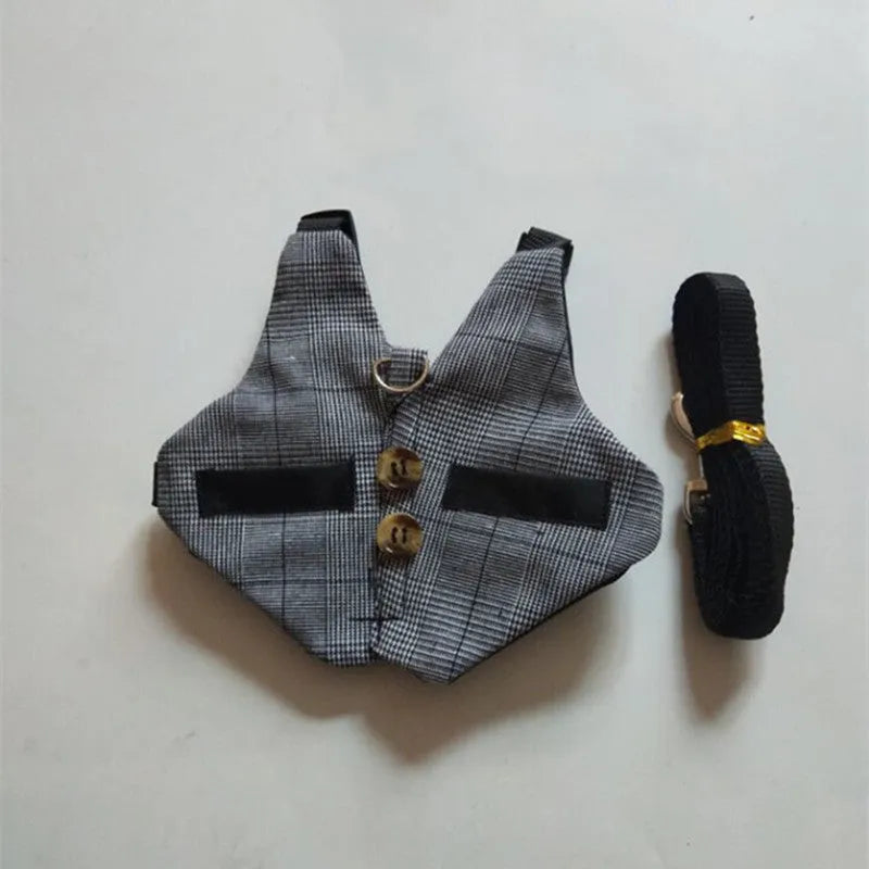 Grey cloth rabbit leash with dress in three sizes S M L chest strap