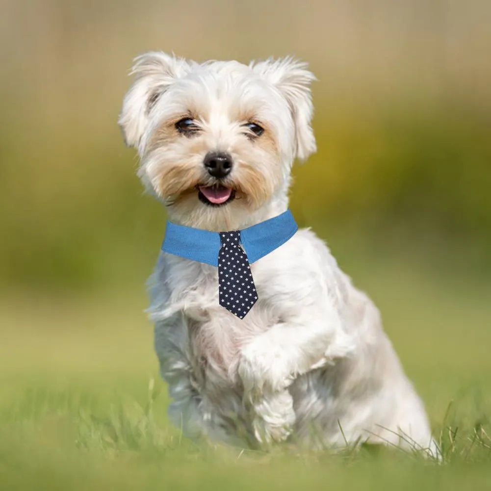 Blue denim dog collar with a star-patterned black bow tie, shown on a mannequin.