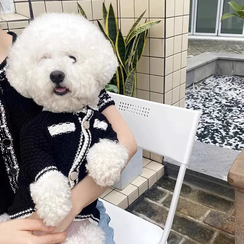 Korean style pearl collar dog sweater in black and white colours for small dogs