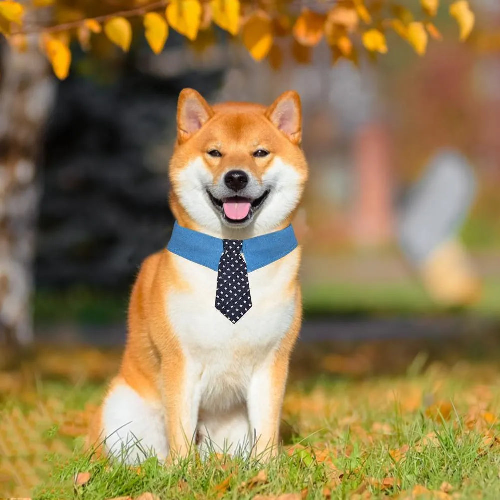 Blue denim dog collar with a star-patterned black bow tie, shown on a mannequin.