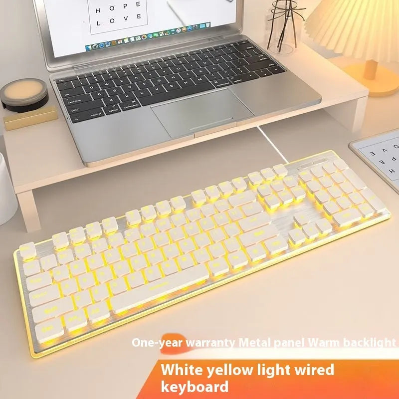 Mute mechanical keyboard with LED lighting and matching wired mouse in silver white blue colour combination