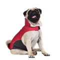 Waterproof vest jacket dog clothes in dark blue, suitable for autumn and winter outdoor use