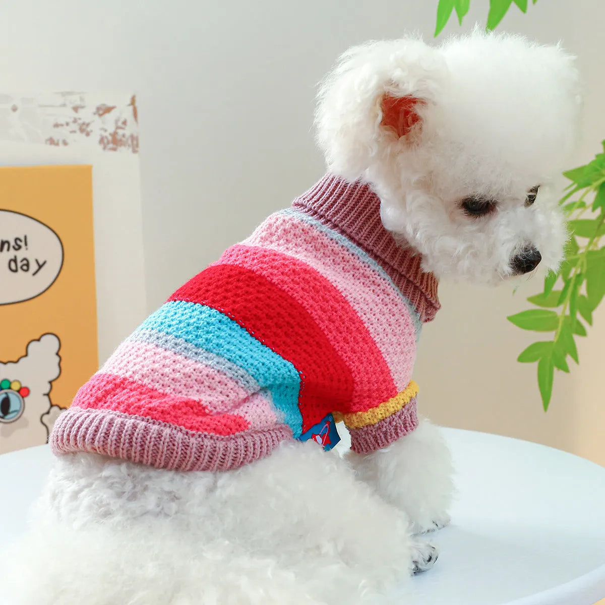 Pet Ring colorful stripes acrylic sweater for dogs, five sizes XS to XL, front view