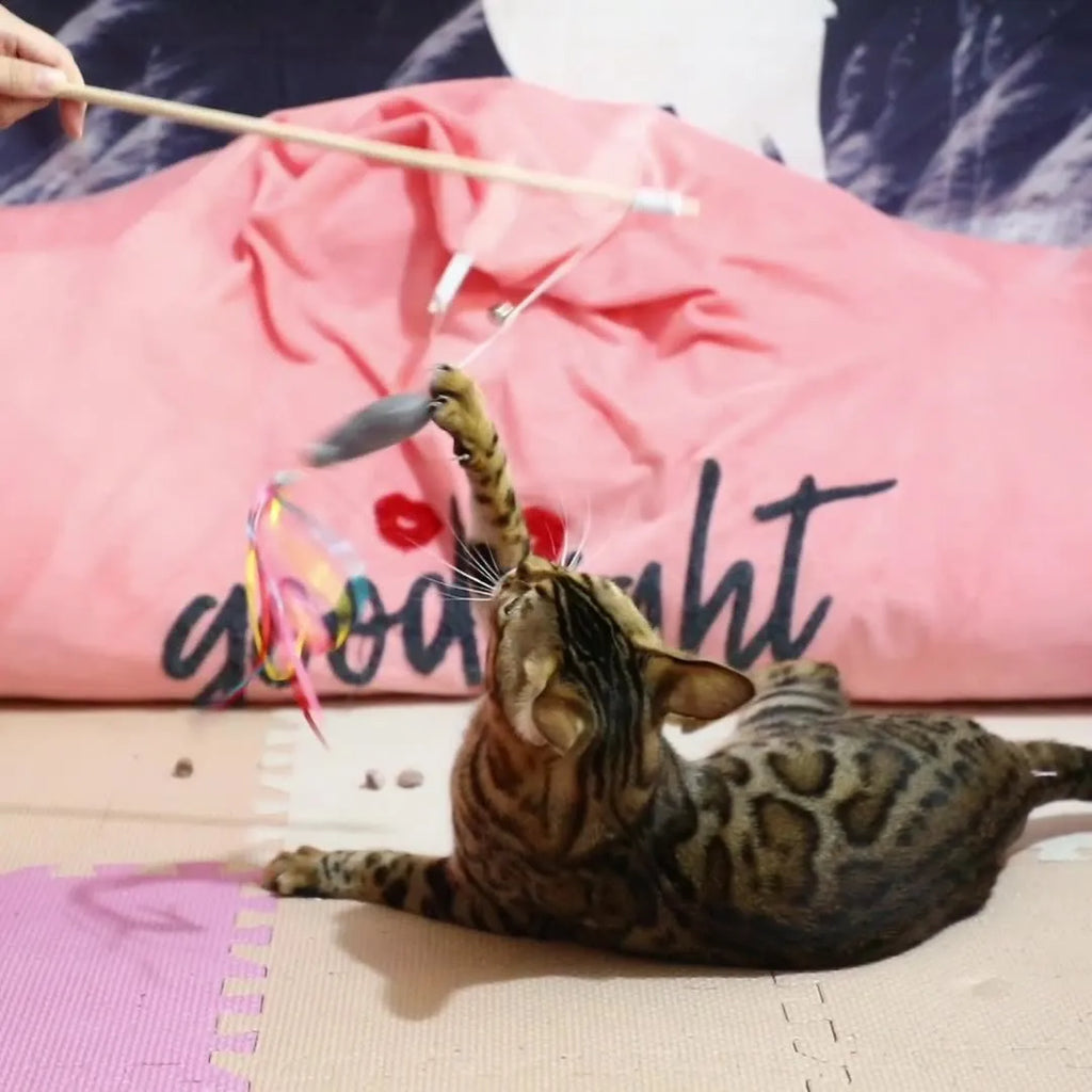 Cat wand toy with wooden handle, colourful ribbons, catnip fish and bell for indoor cat play