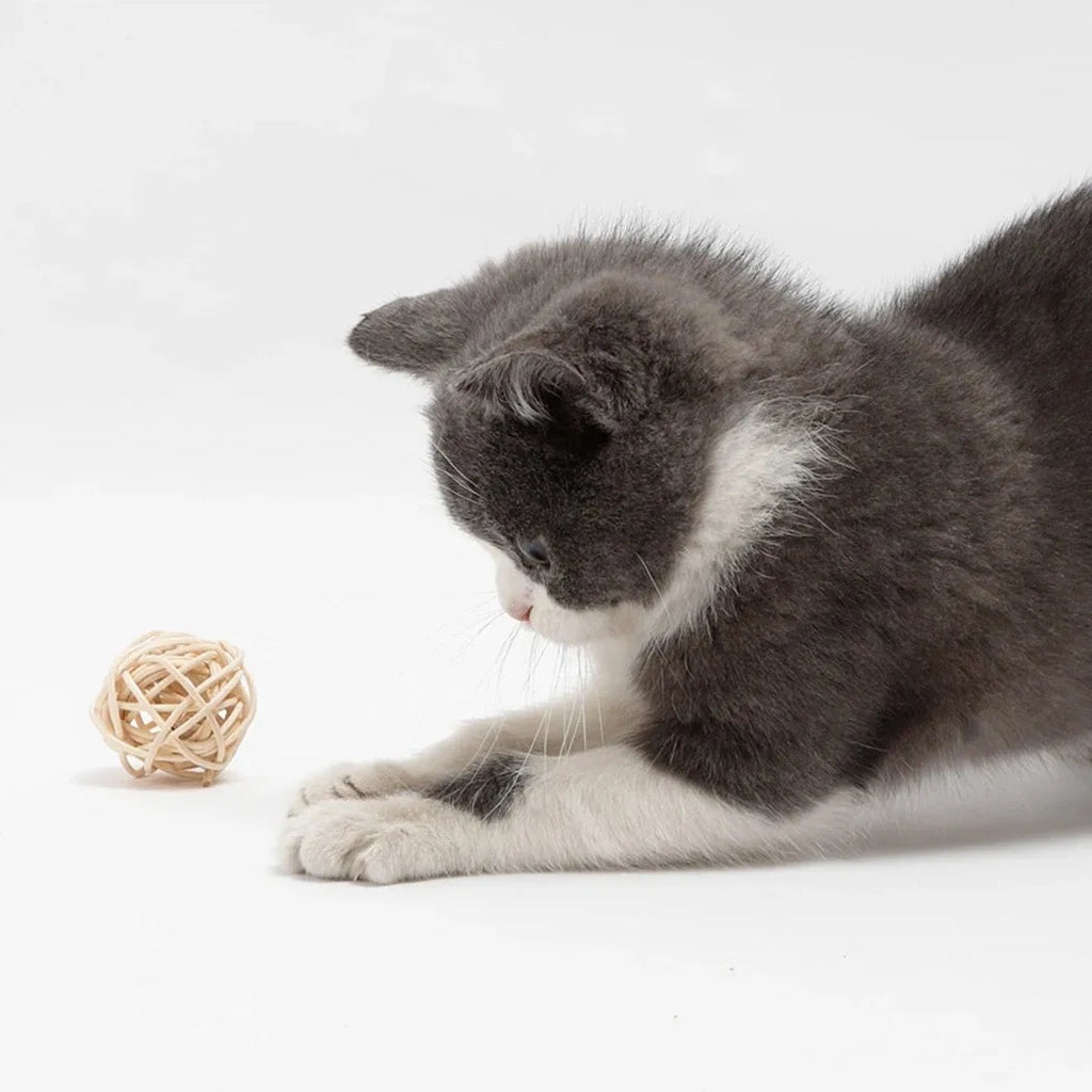Cat toy set with rattan ball and faux feather ball in primary colours for feline play