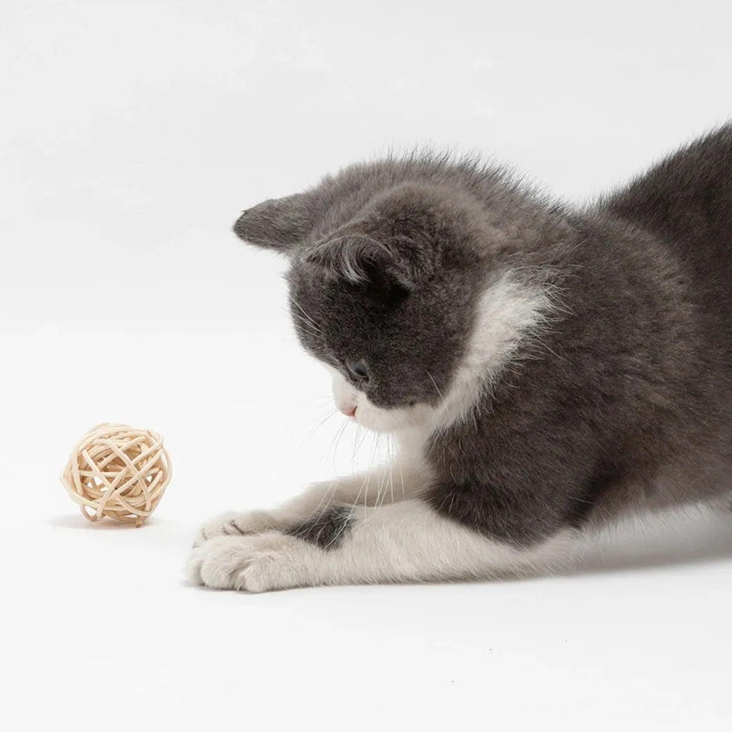 Cat toy set with rattan ball and faux feather ball in primary colours for feline play