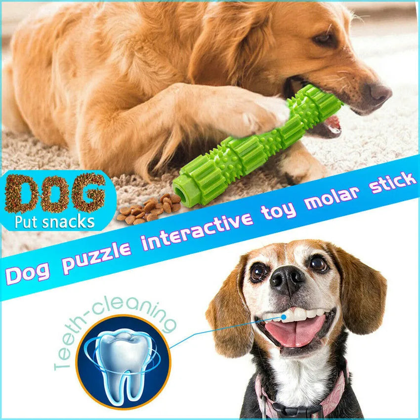 Green natural rubber dog chew toy with treat holes and squeaker for aggressive chewers