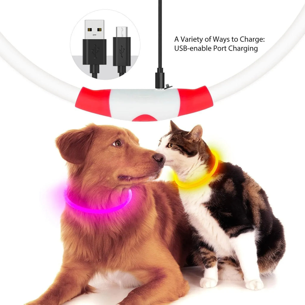 Blue LED dog collar glowing with adjustable TPU band and USB charging port visible