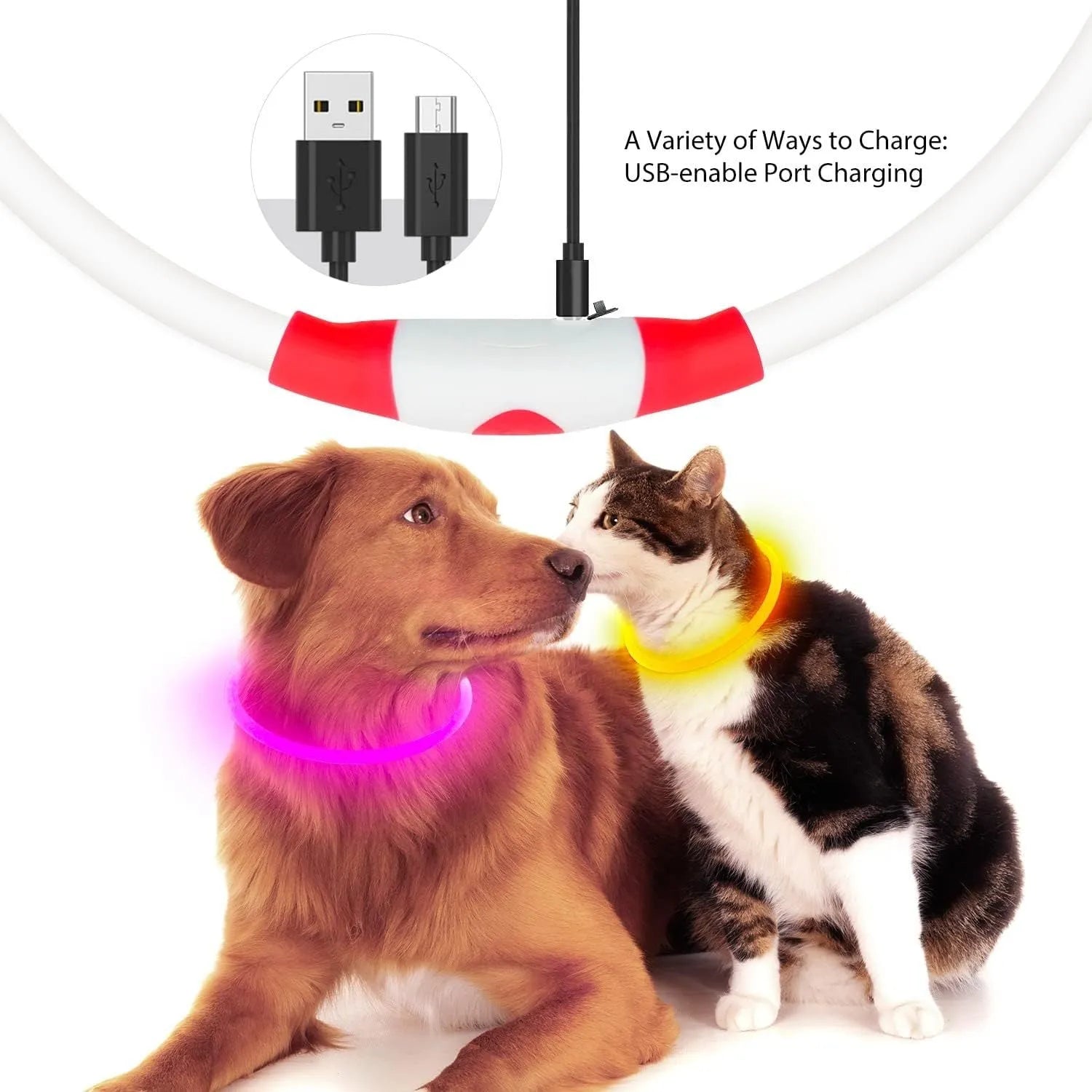 Blue LED dog collar glowing with adjustable TPU band and USB charging port visible