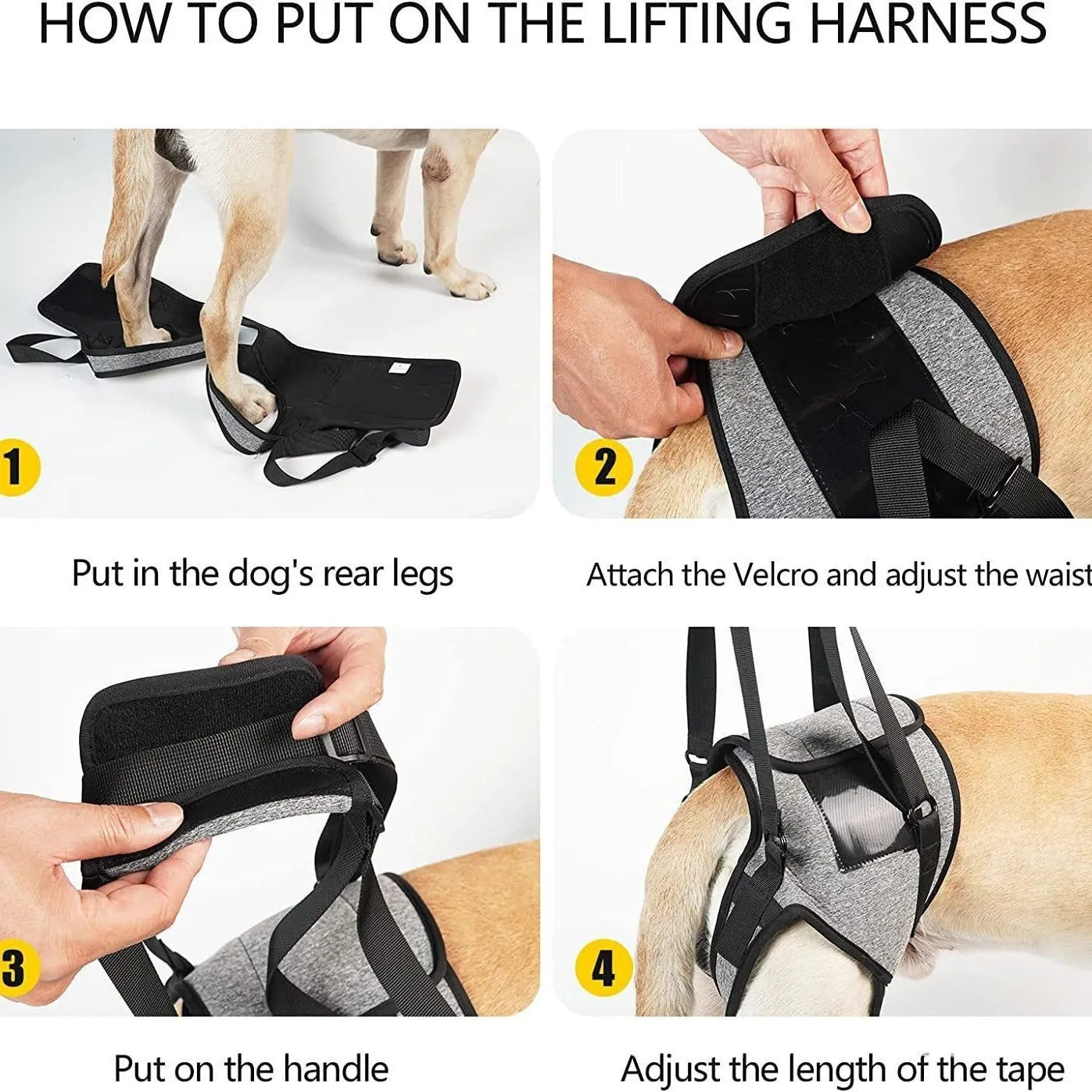 Grey neoprene dog rear leg recovery support belt wrapped around canine hindquarters