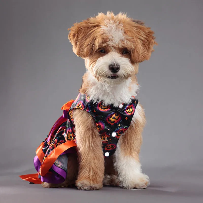 Halloween dog skirt with colourful pumpkin print and adjustable tie waist