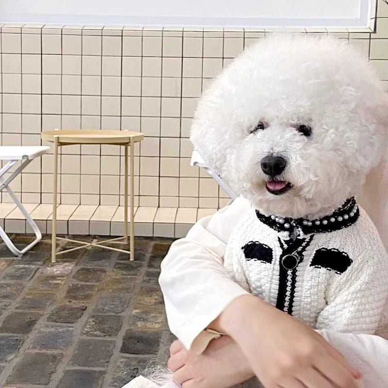 Korean style pearl collar dog sweater in black and white colours for small dogs