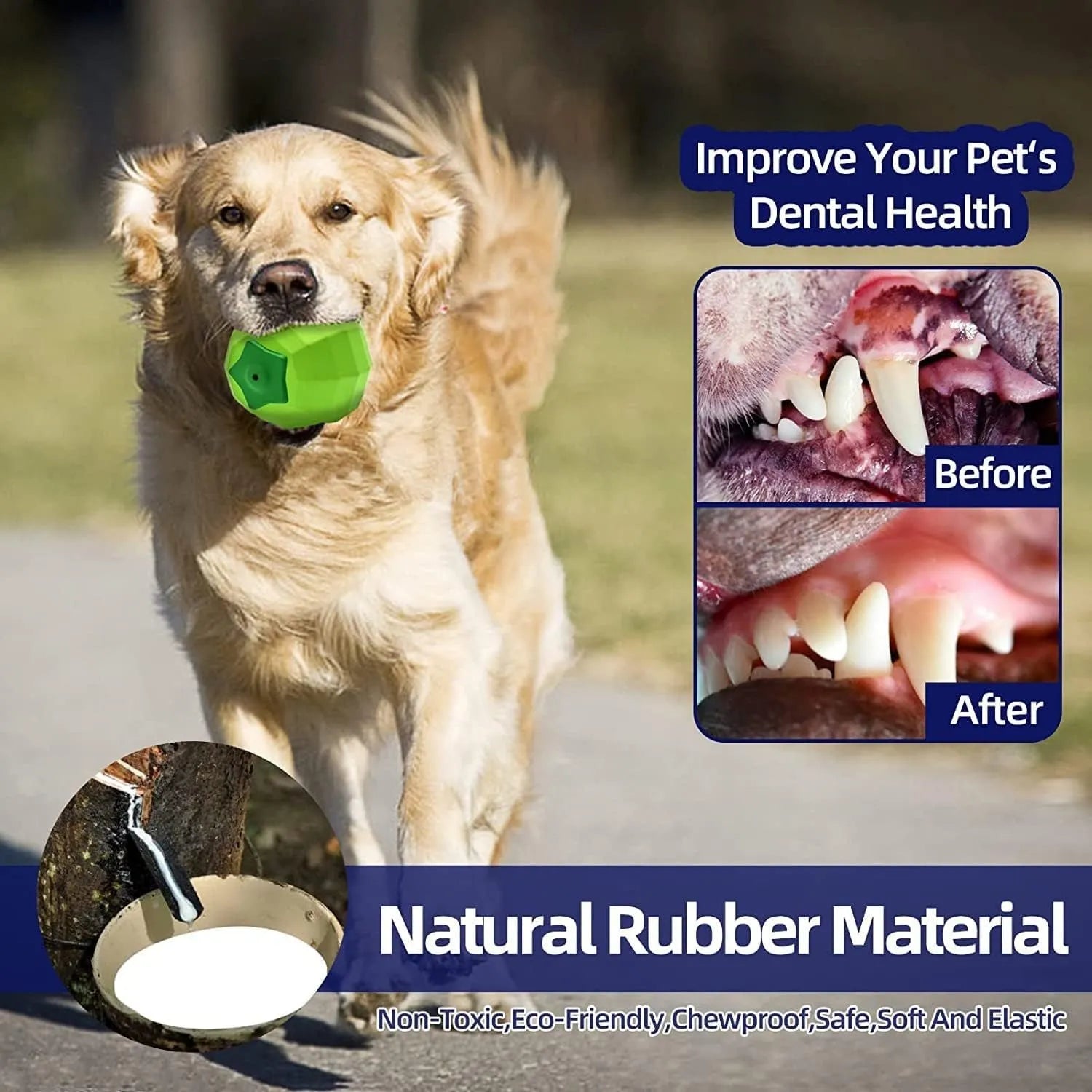 Green natural rubber dog squeaky toy for medium and large aggressive chewers