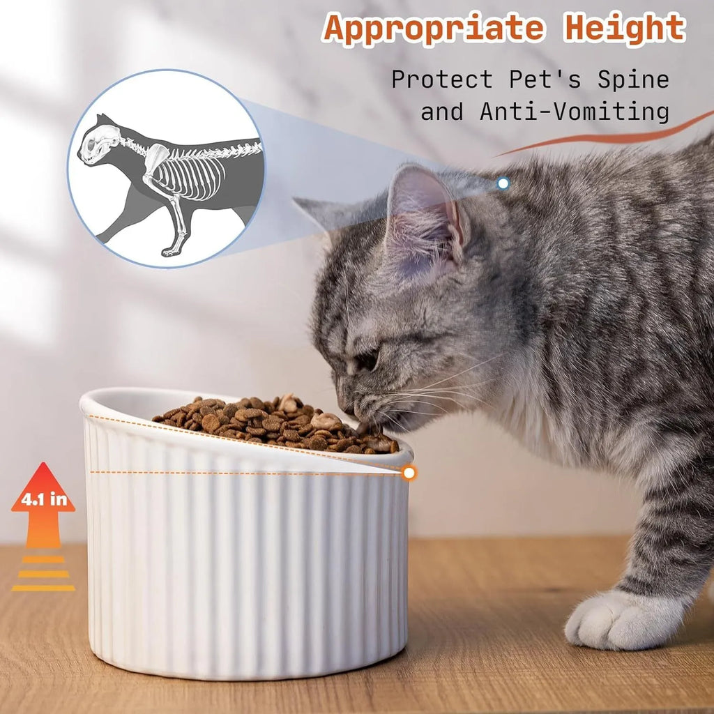 Ceramic elevated cat bowl in green colour with tilted design for anti-vomit feeding