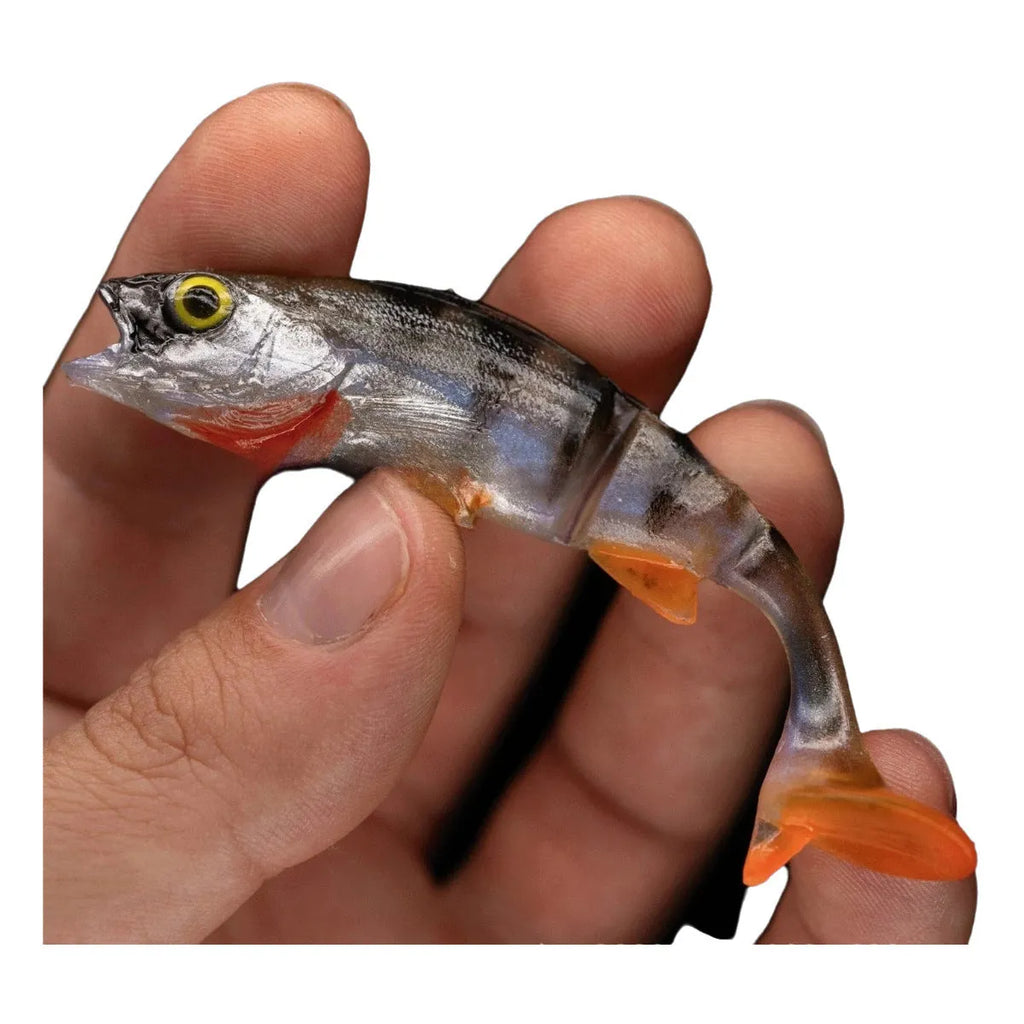5.5-inch fish-tail soft fishing lure in realistic fish colours, 2-piece pack