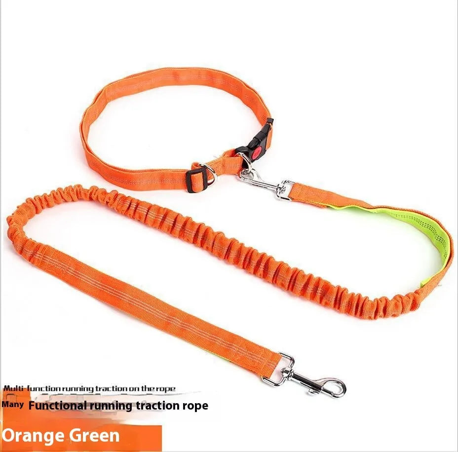 Elastic dog leash with reflective filament in two-tone colour combination, showing adjustable sling and standard clip attachment