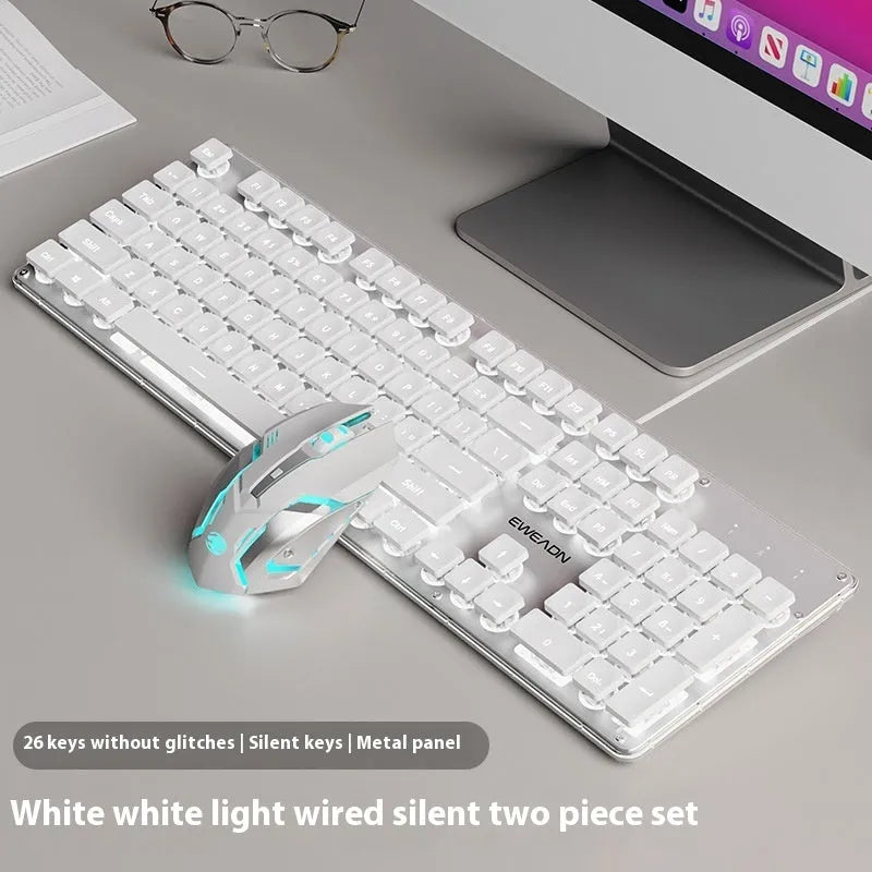 Mute mechanical keyboard with LED lighting and matching wired mouse in silver white blue colour combination
