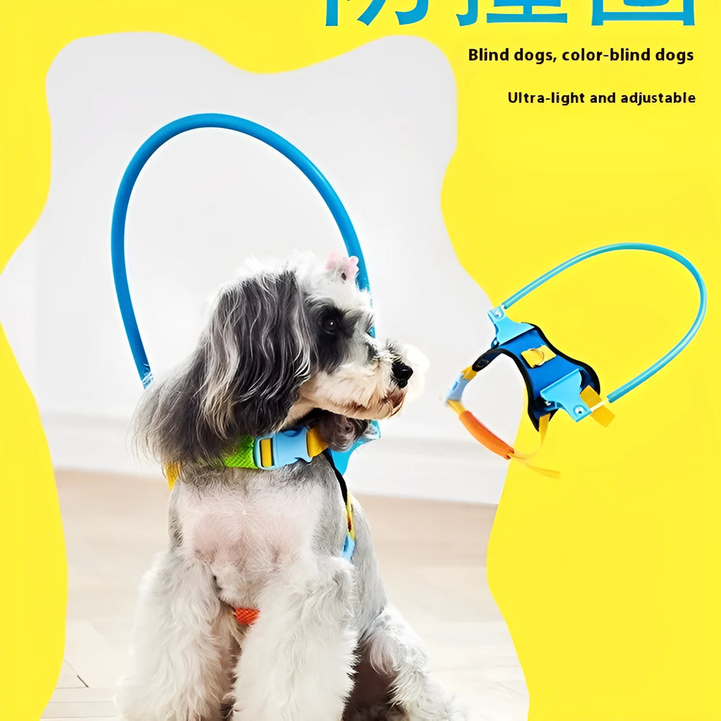 A blue adjustable anti-collision ring for dogs, shown in various sizes.
