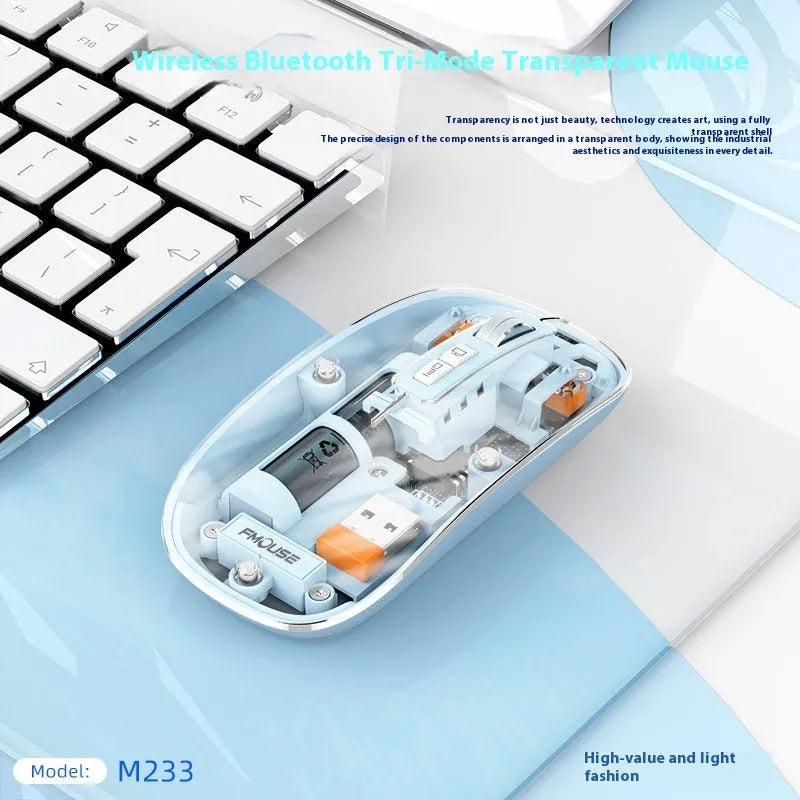 Transparent wireless mouse with USB receiver showing internal components