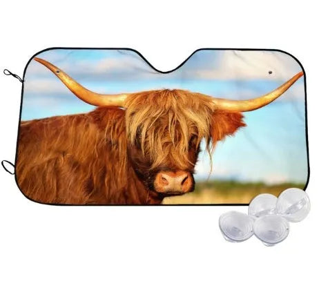 Telescopic aluminium foil car sun visor extended across a vehicle windshield