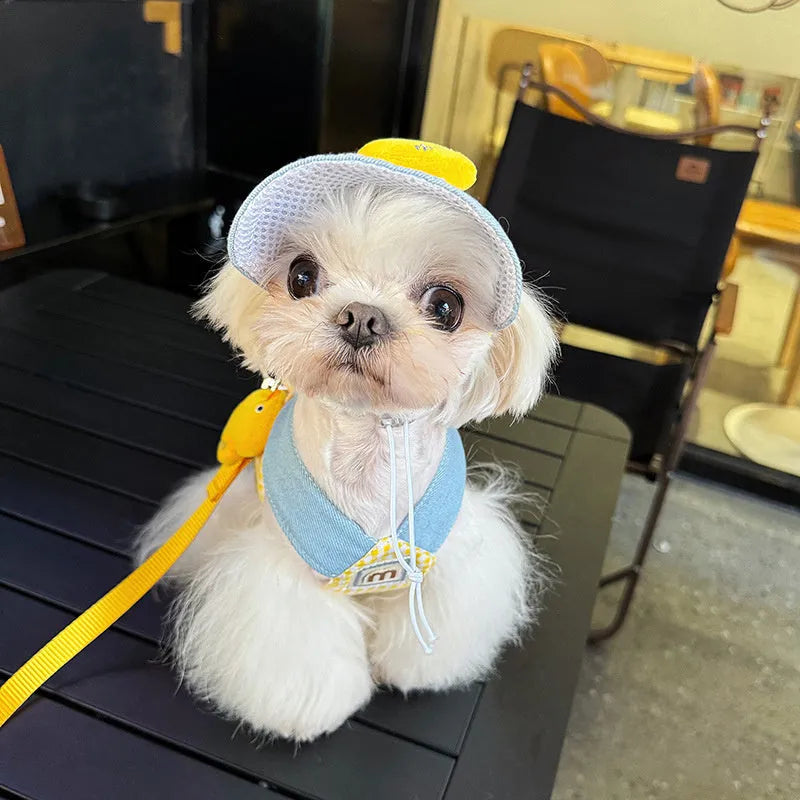 Three-piece pet set showing a dog harness, leash, wire rope pull, and a cute cotton hat on a small dog.