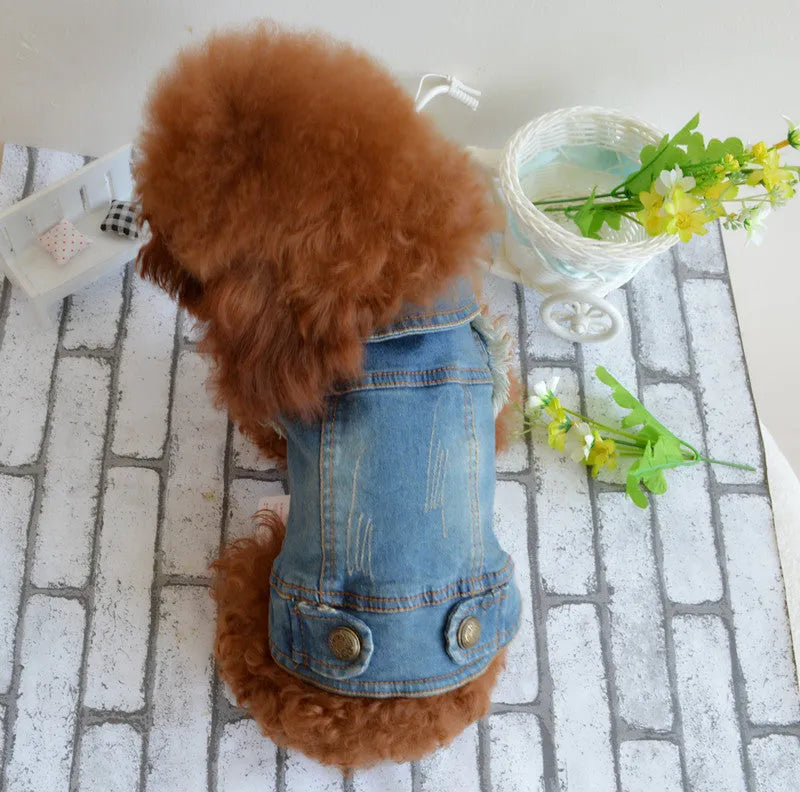 Blue denim dog vest with a retro scratch pattern on a small white dog.