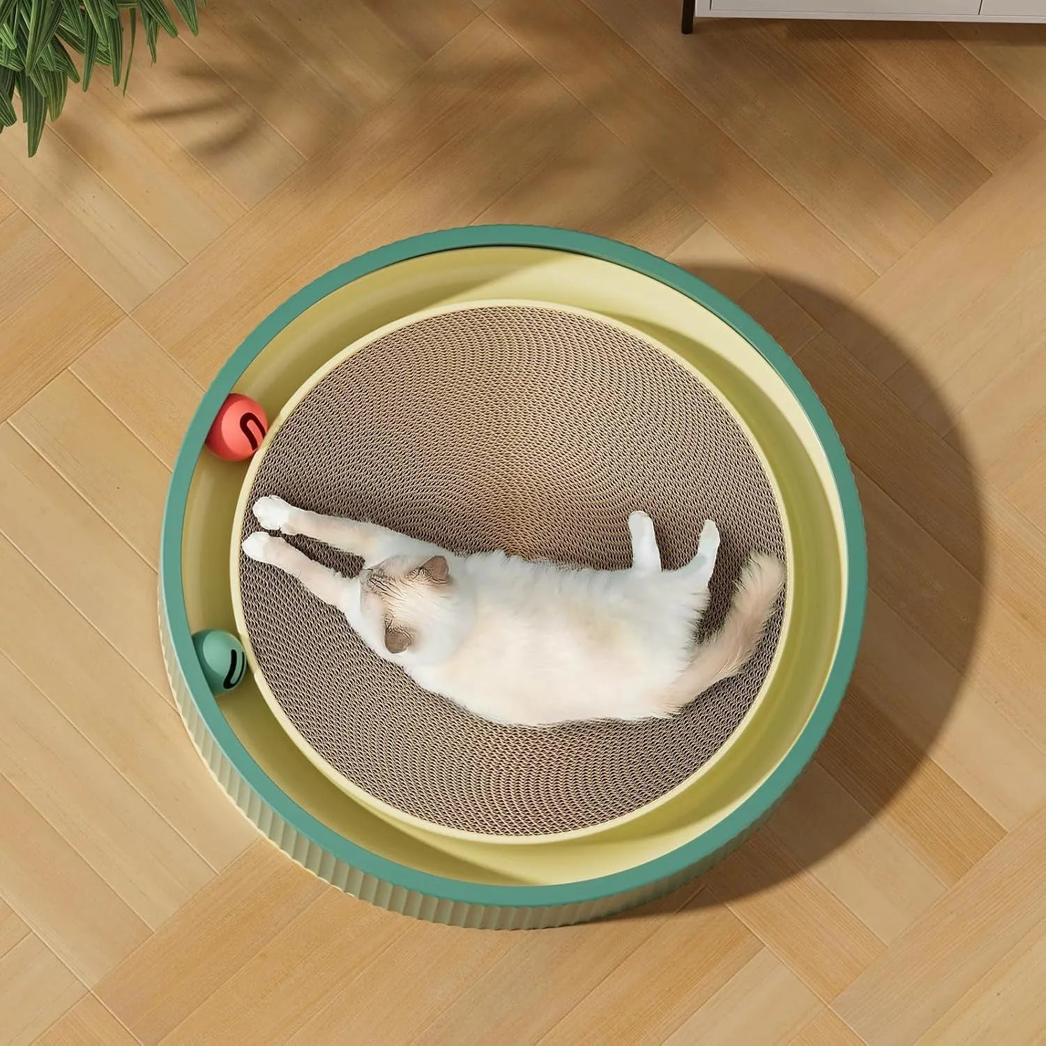 Large circular green cat scratching board with ball toys and replaceable cardboard core
