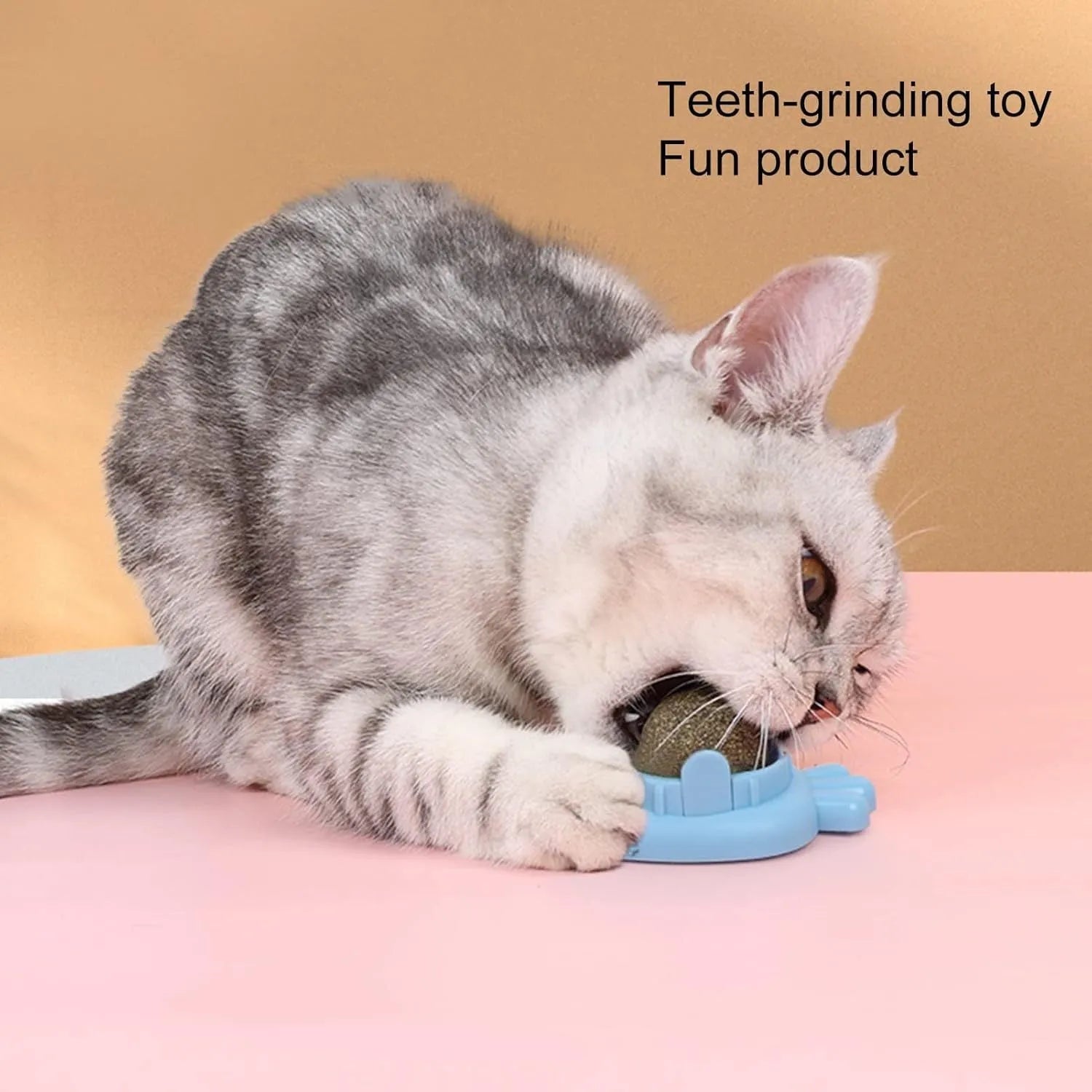 Blue carrot-shaped self-adhesive catnip wall balls for indoor cat teeth cleaning