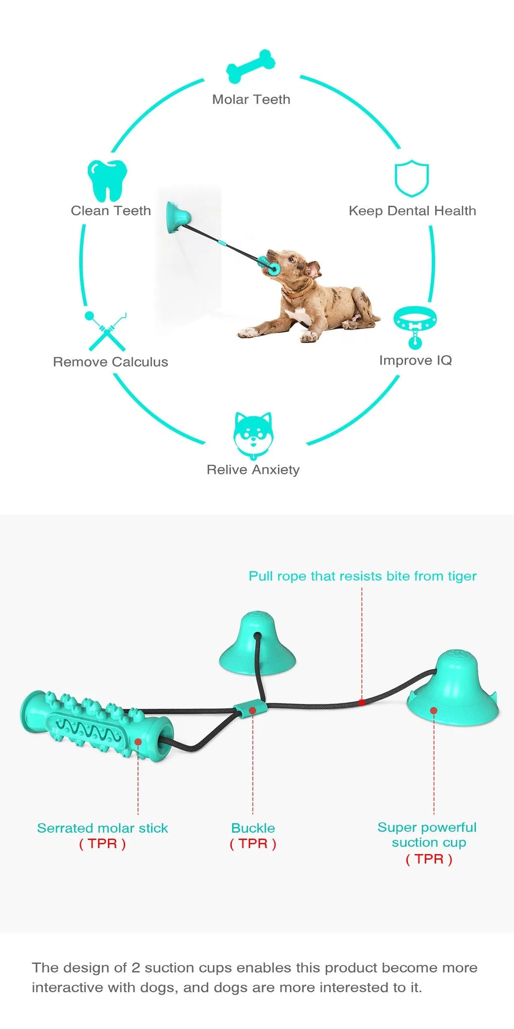 Double suction cup pull dog toy in Lake Blue made from hard-wearing plastic on a tiled floor