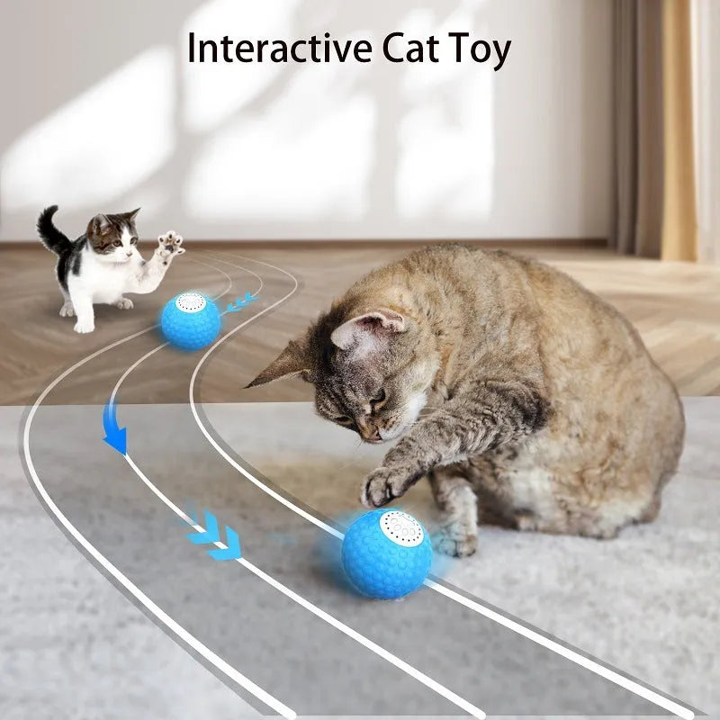 Remote control cat ball toy with flashing lights in blue, green and yellow colour options