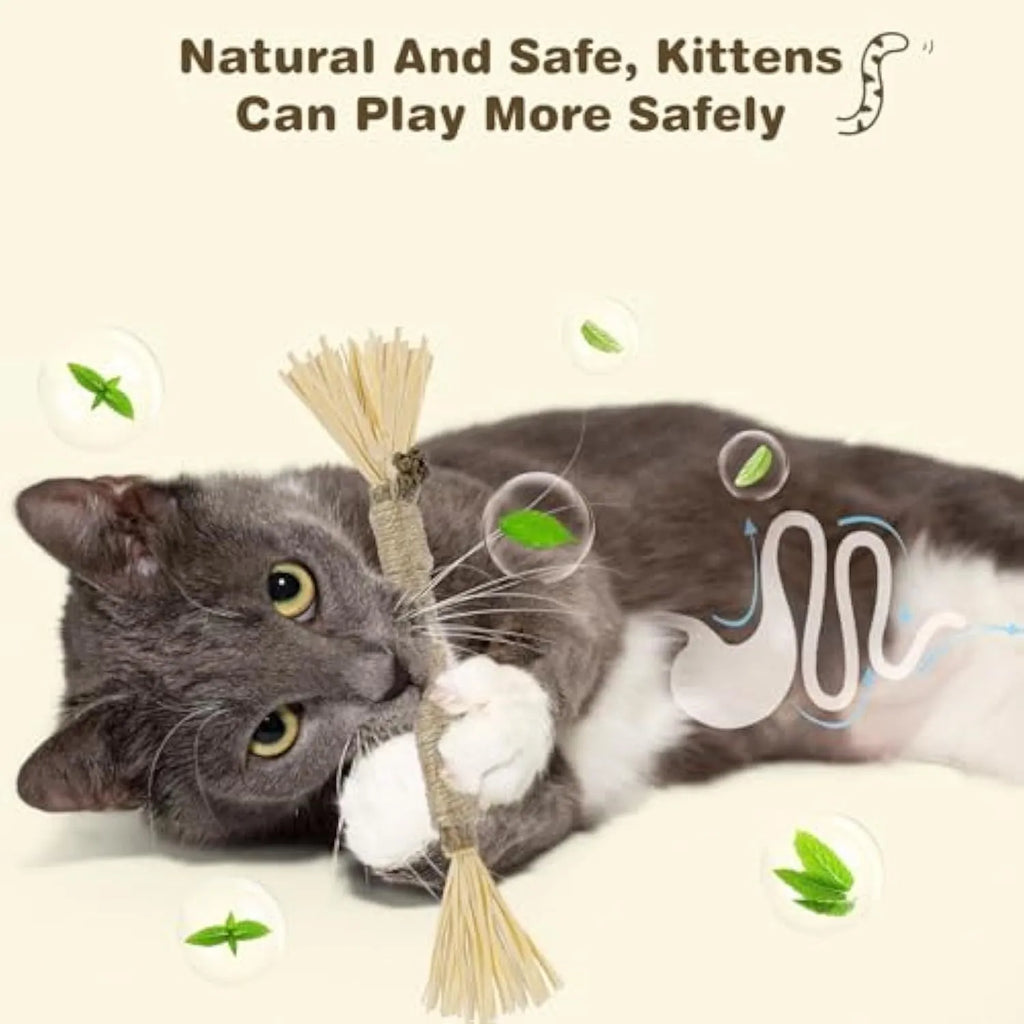 3 natural silvervine chew sticks for cats with sisal rope, thick and fine diameter options