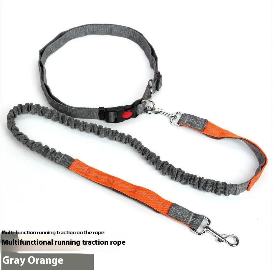 Elastic dog leash with reflective filament in two-tone colour combination, showing adjustable sling and standard clip attachment
